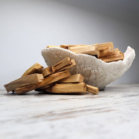 Palo Santo Stick | Sacred Cleansing & Uplifting Energy