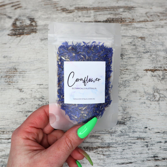 Cornflower
