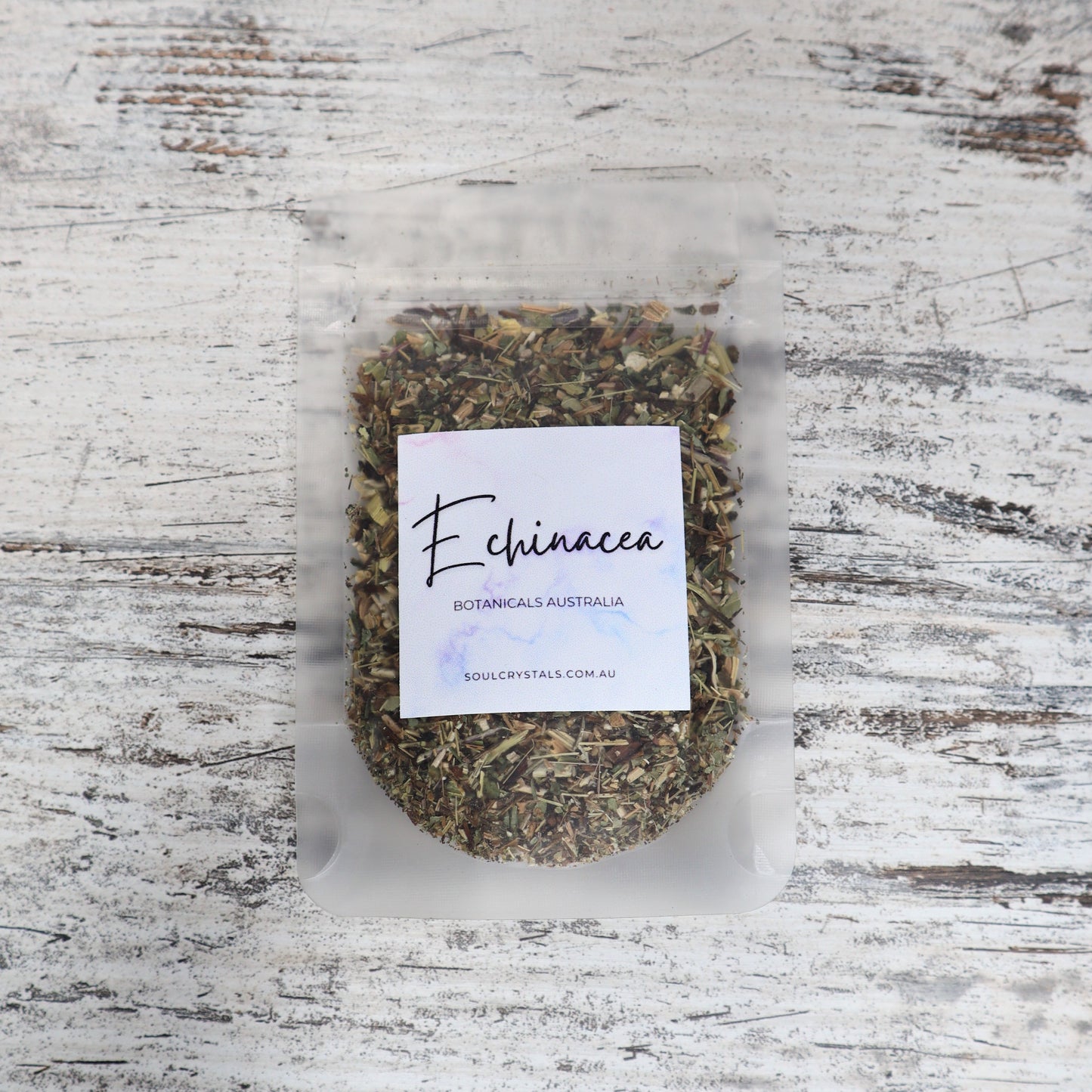 Echinacea