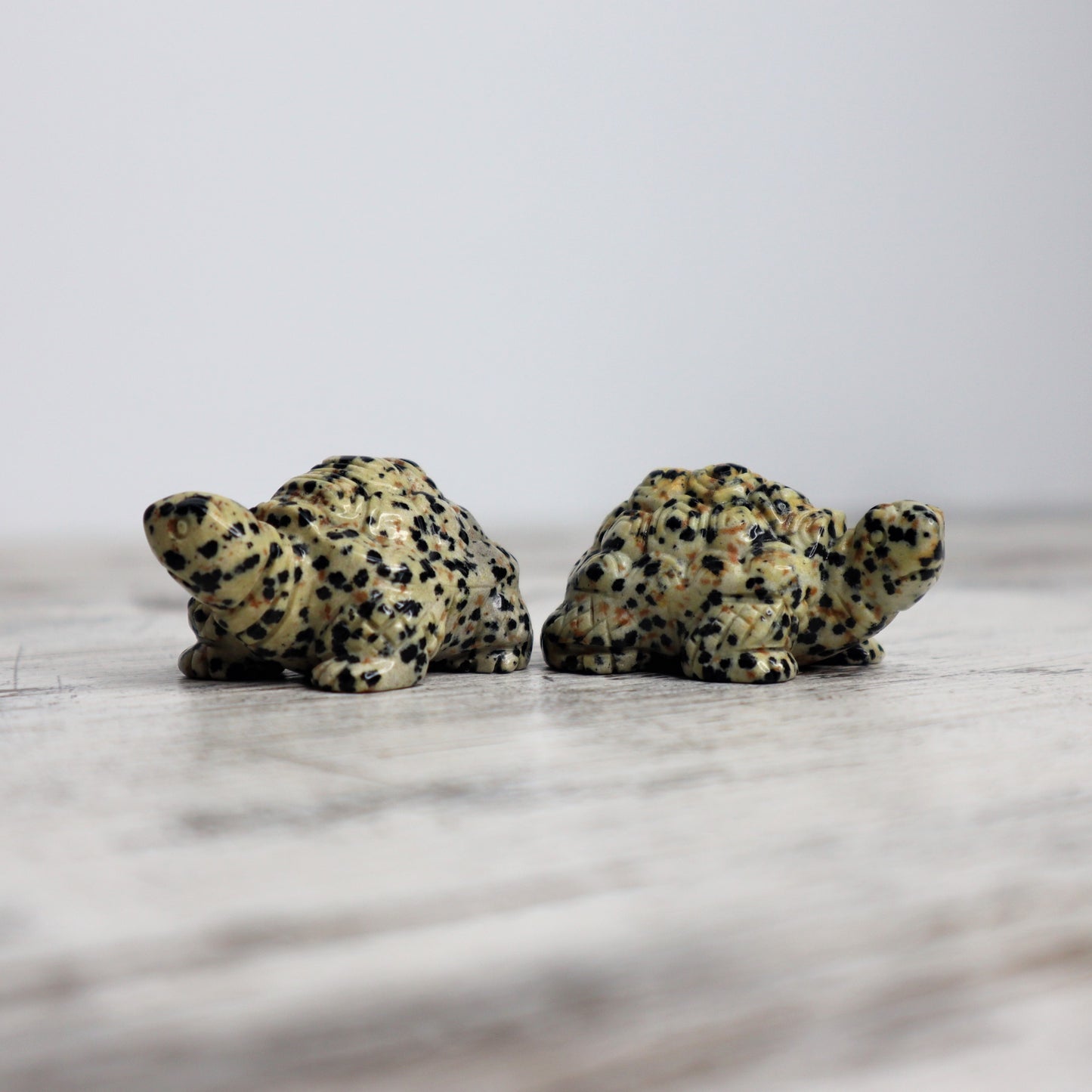 Dalmatian Jasper Tortoise Carving