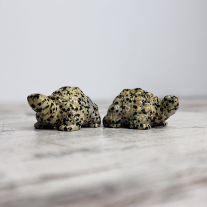 Dalmatian Jasper Tortoise Carving