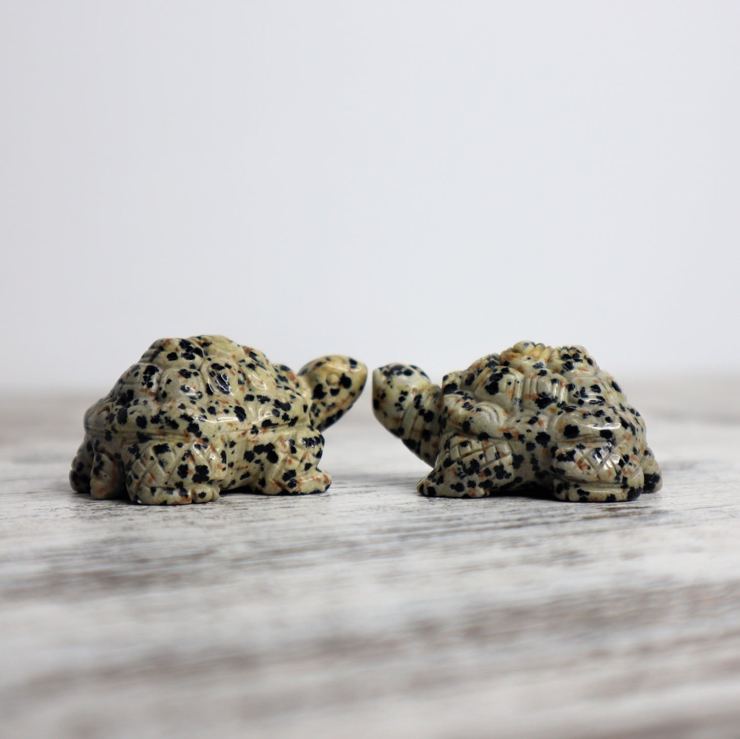 Dalmatian Jasper Tortoise Carving
