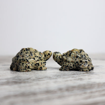 Dalmatian Jasper Tortoise Carving